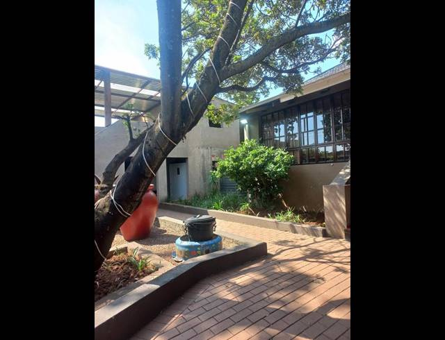 OFFICE PROPERTY TO RENT IN KENSINGTON